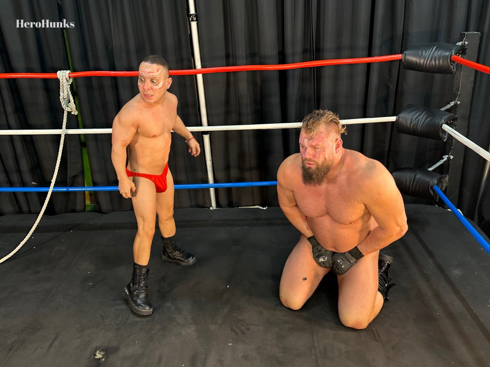 Red Baron & Mini Baron vs. Nick Justice (Enchanted Hero)