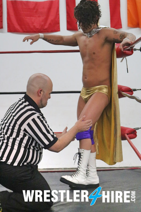Ace Owens vs. Ronnie Pearl (Knocked Out)