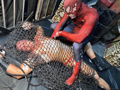 Web Wonder vs. Super Bronco